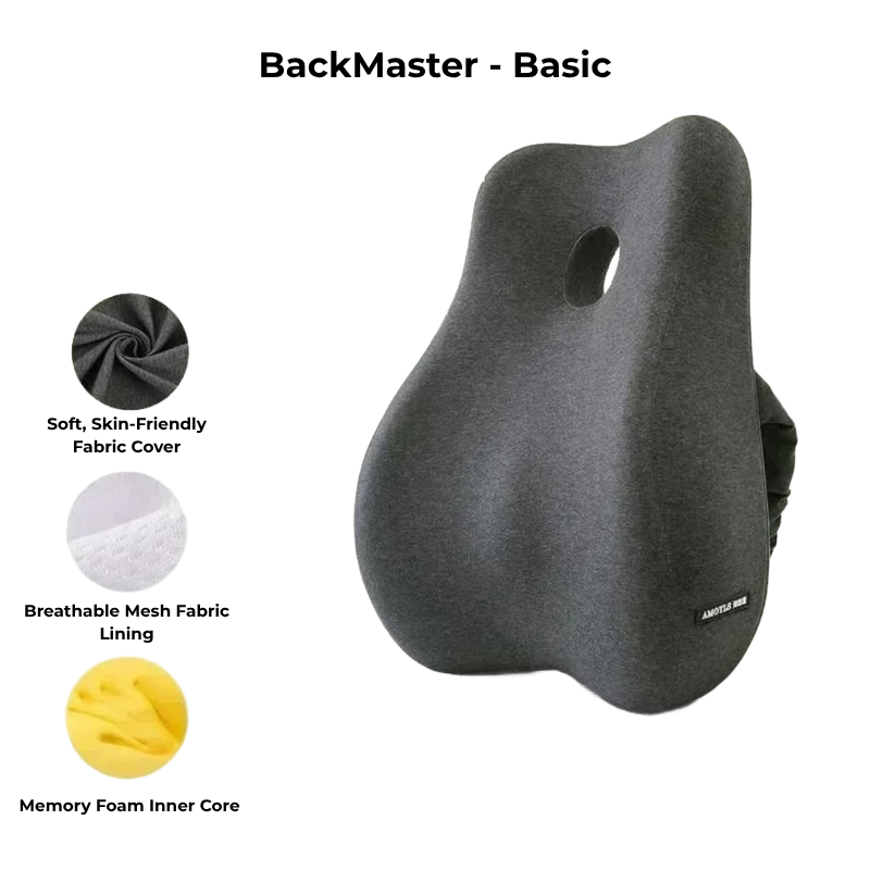 BackMaster – Basic