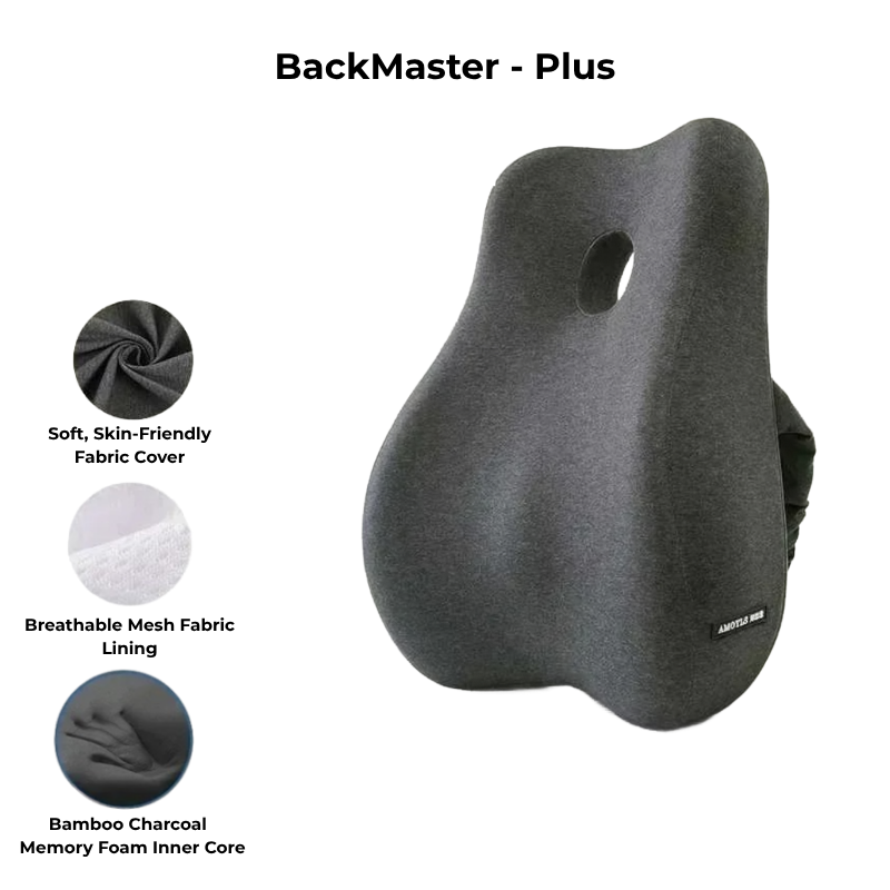BackMaster – Plus