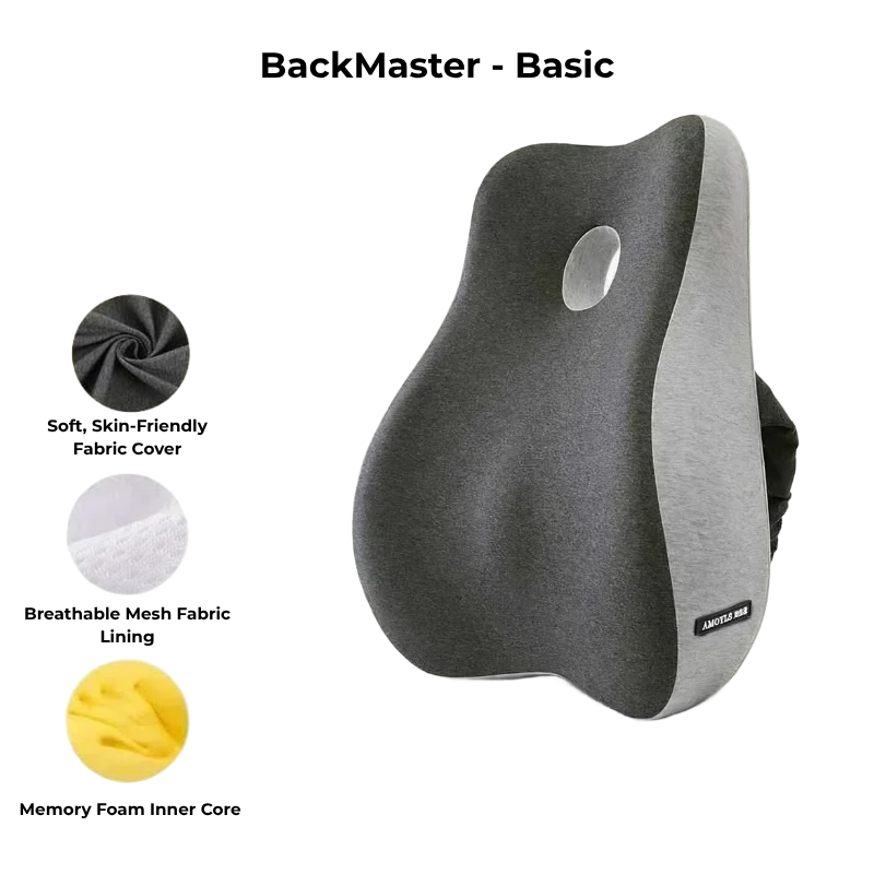 BackMaster – Basic