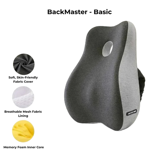 BackMaster – Basic