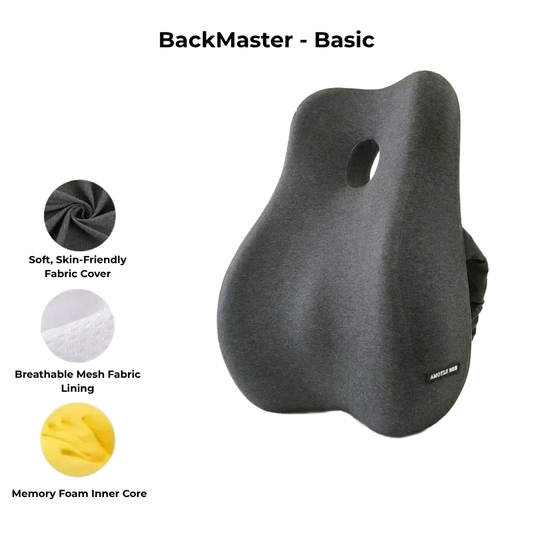 BackMaster – Basic