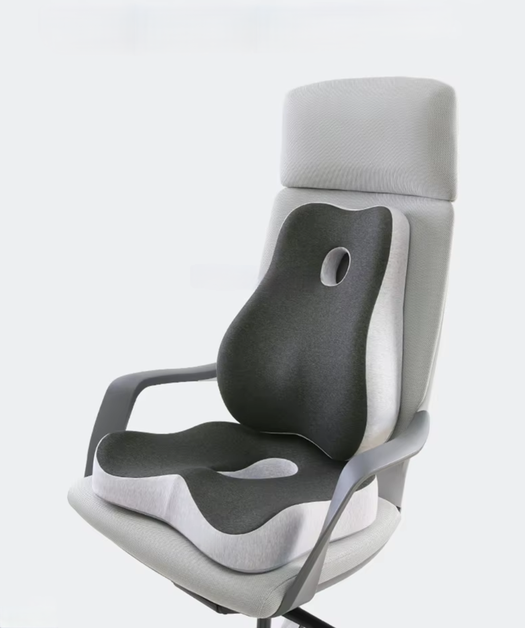 BackMaster One - Basic