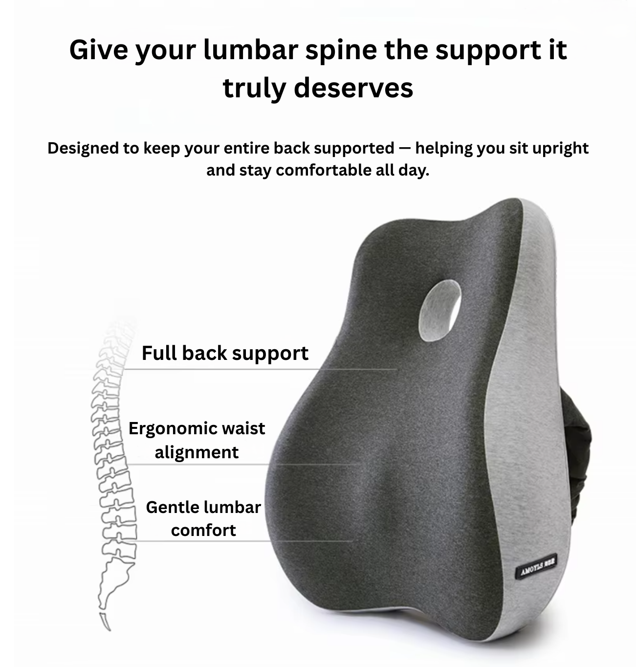 BackMaster – Basic