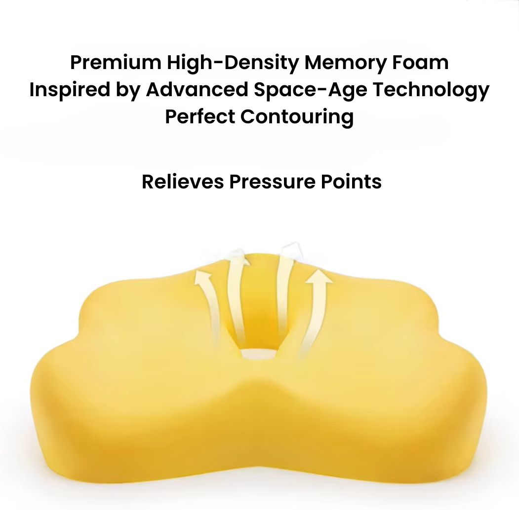 BackMaster One - Basic