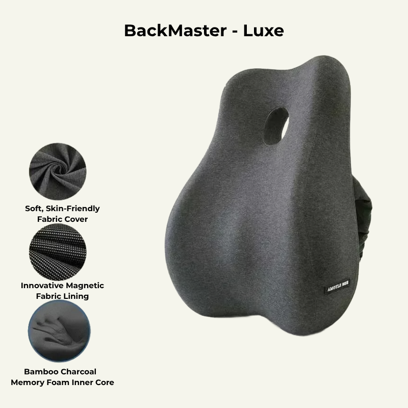 BackMaster – Luxe