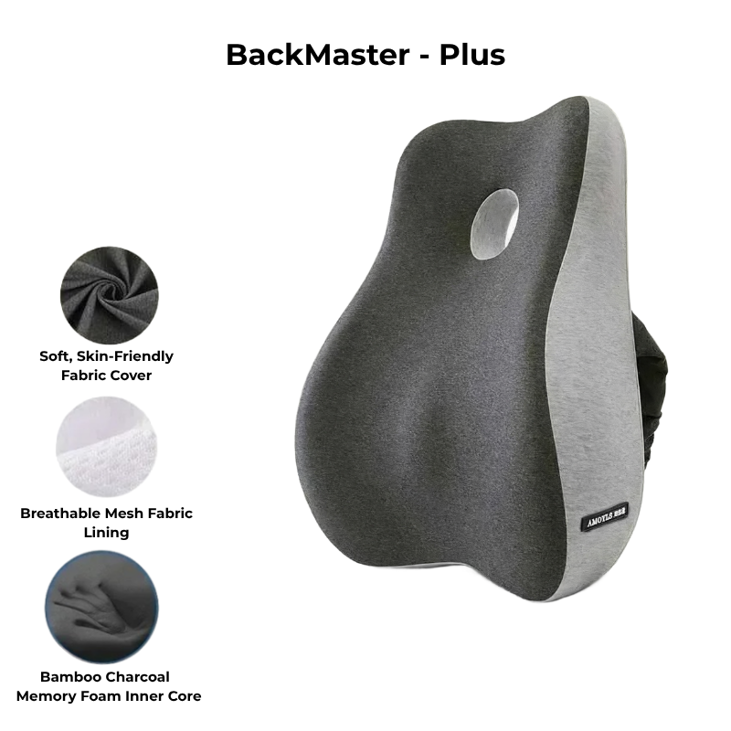 BackMaster – Plus