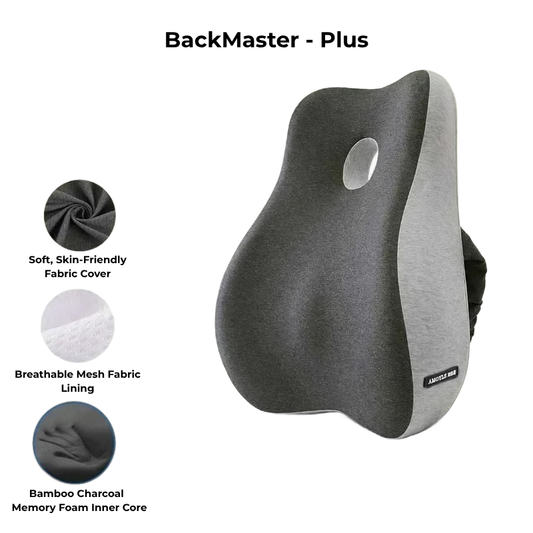 BackMaster – Plus