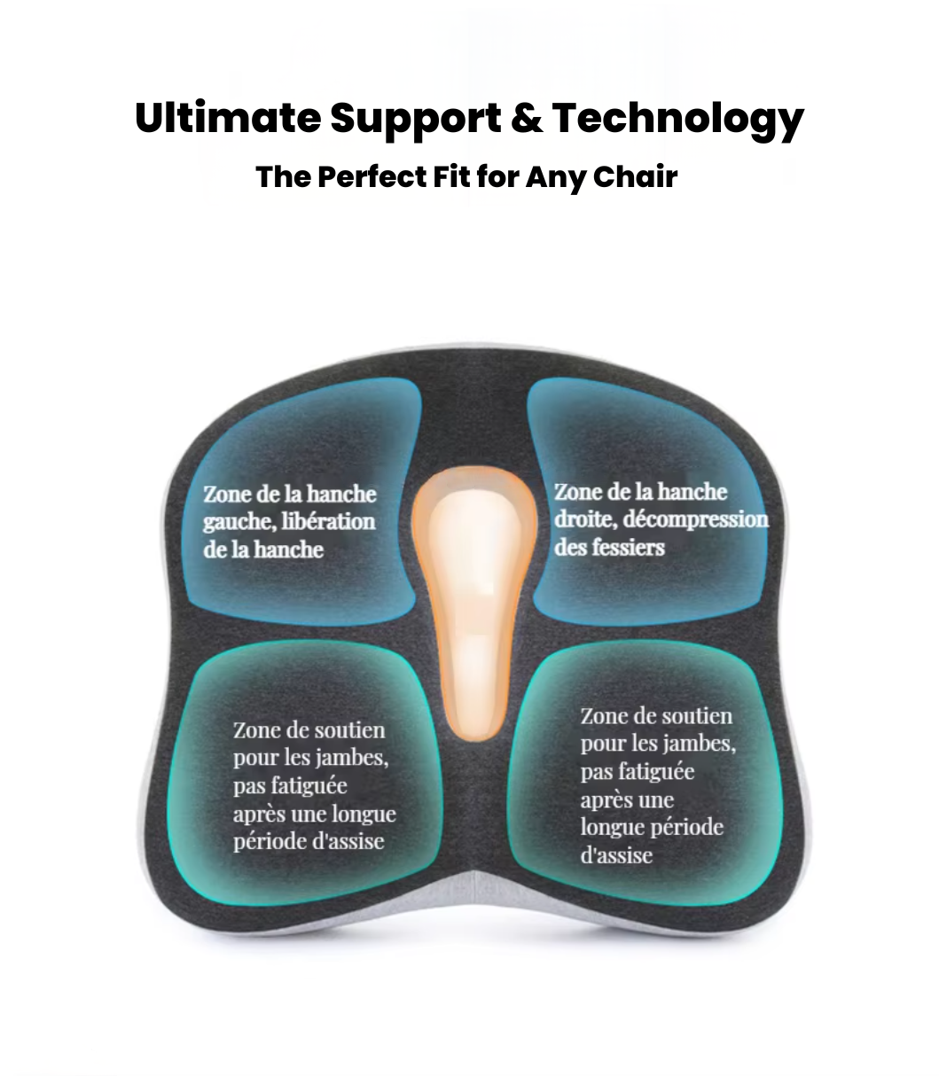 BackMaster One - Basic